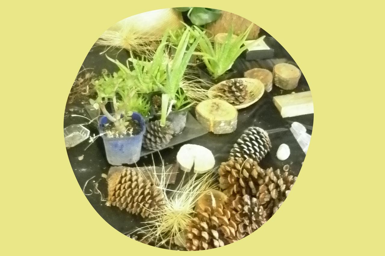 Natural resources are used at Kaurilands Kindy like these pine cones